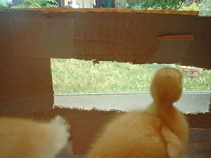 b0115200_1612870.jpg