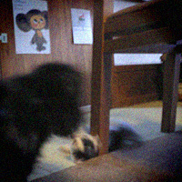 d0077603_9232163.jpg