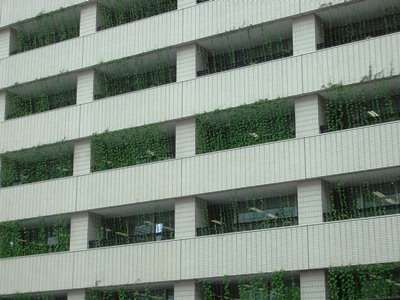d0018704_14525069.jpg