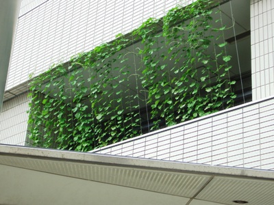 d0018704_14531713.jpg