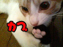 a0041108_12332485.jpg