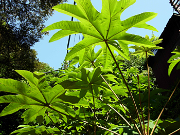 b0012010_2317166.jpg