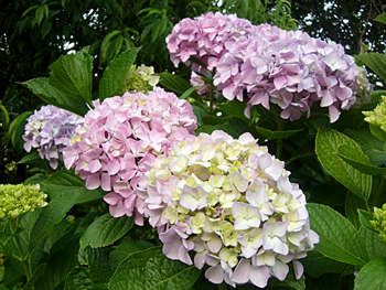 b0012010_23182713.jpg