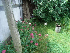 e0046112_551291.jpg