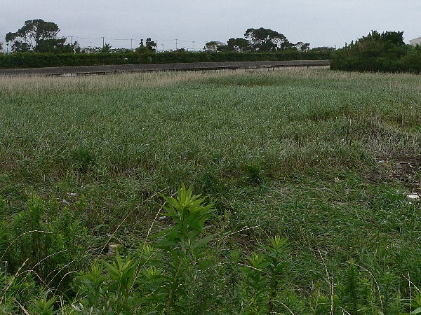 e0002314_2301017.jpg