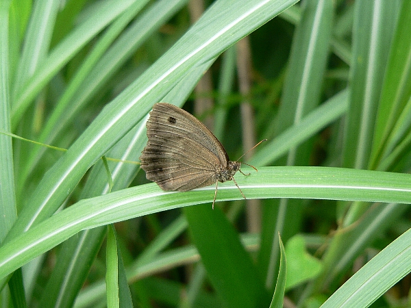 e0002314_23155031.jpg