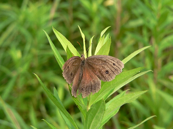 e0002314_23165057.jpg