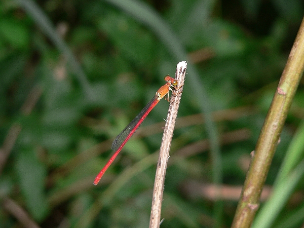 e0002314_23184373.jpg