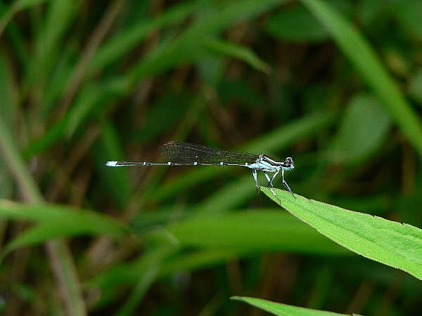 e0002314_23185897.jpg