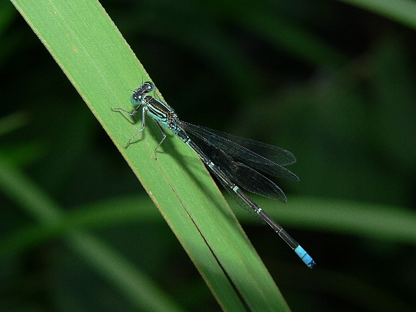 e0002314_2319369.jpg