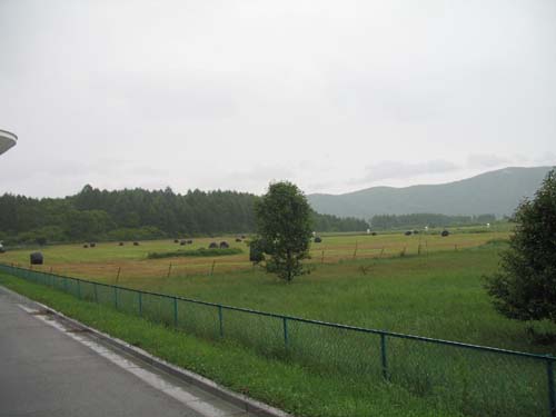 d0080118_2184967.jpg