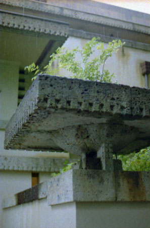 a0018719_201991.jpg