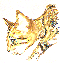d0002224_1302435.gif