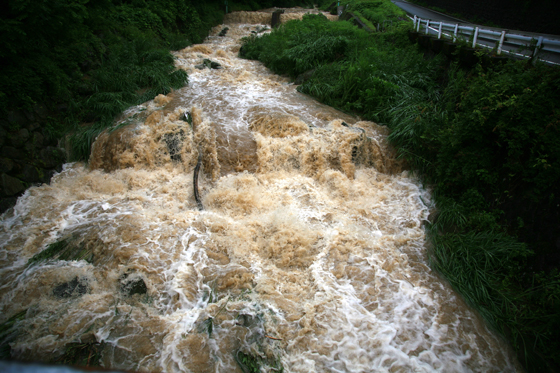 f0081726_175475.jpg