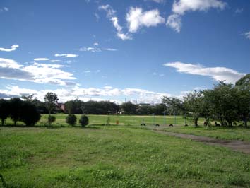 f0129726_22395823.jpg