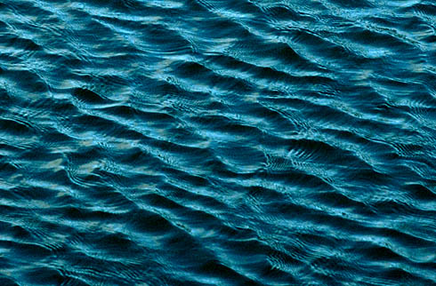 c0066827_19483535.jpg