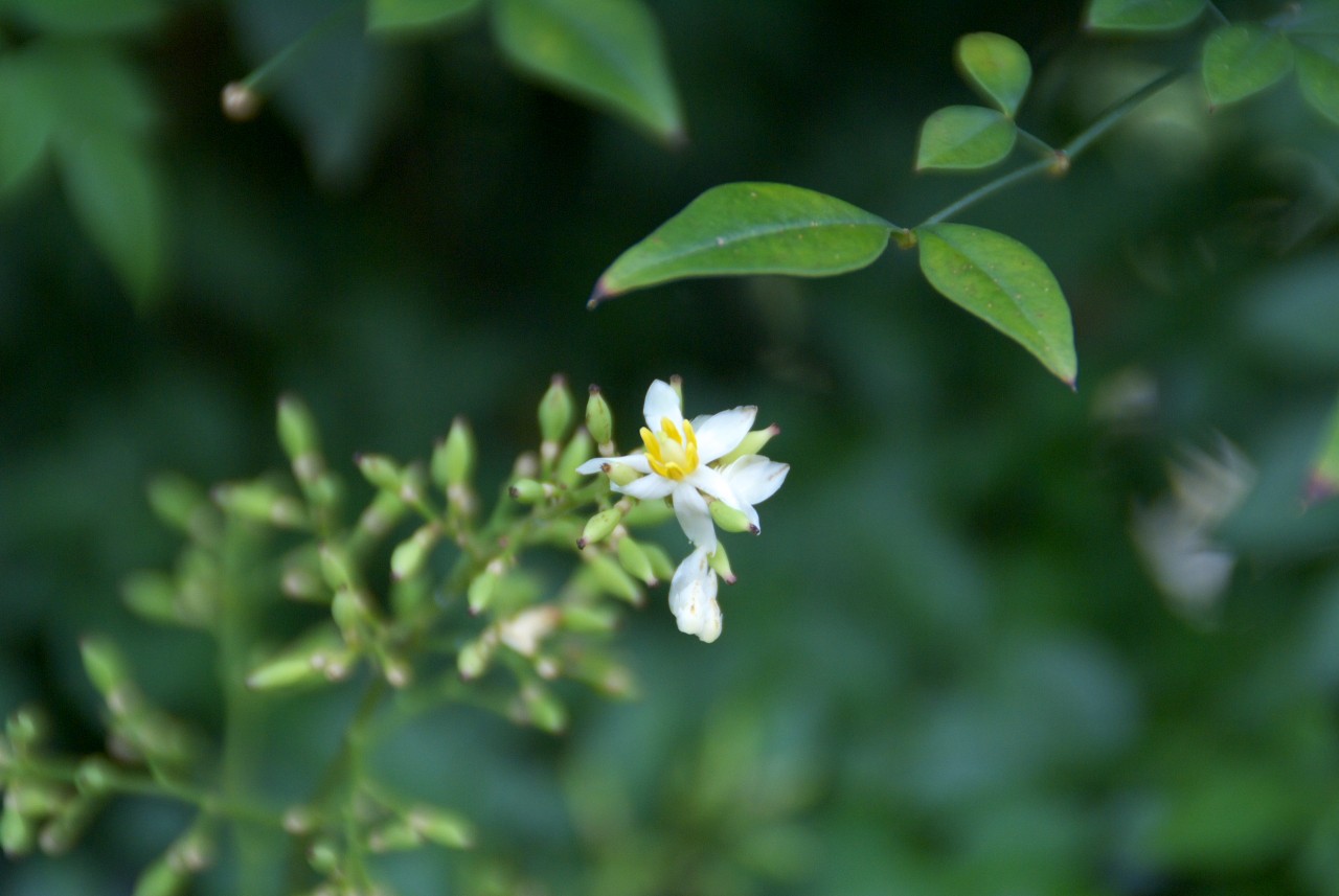 d0053930_63713.jpg