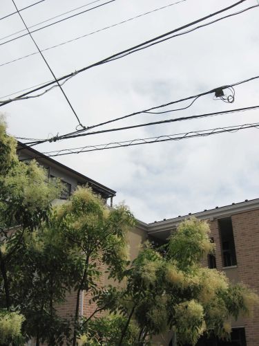 c0111535_23532470.jpg