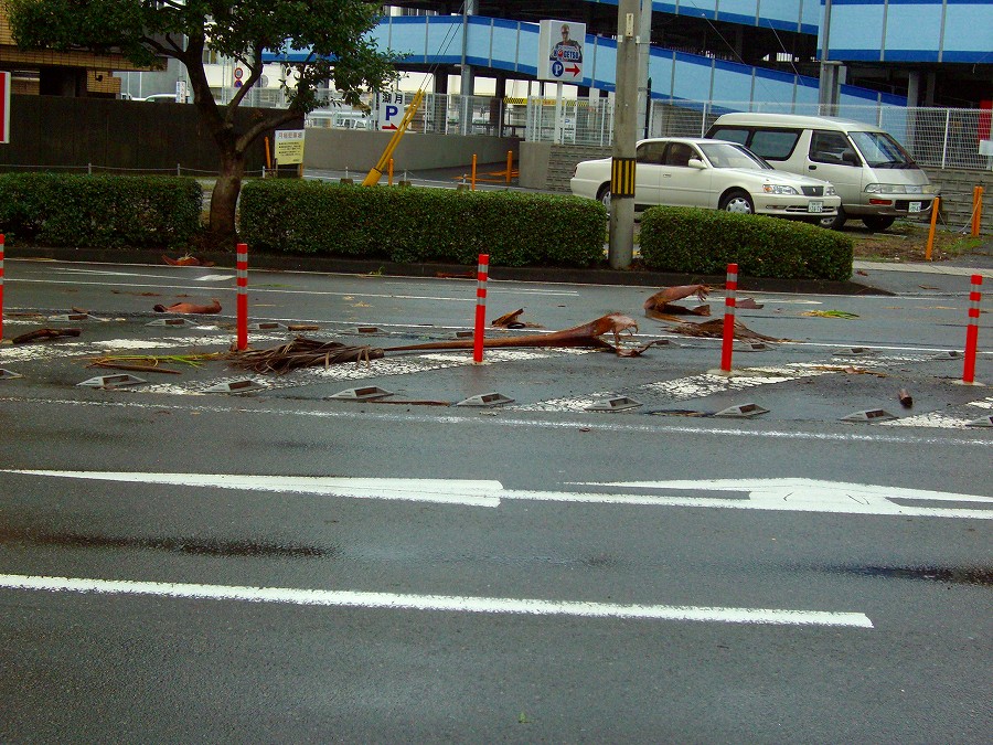 b0029438_12124879.jpg