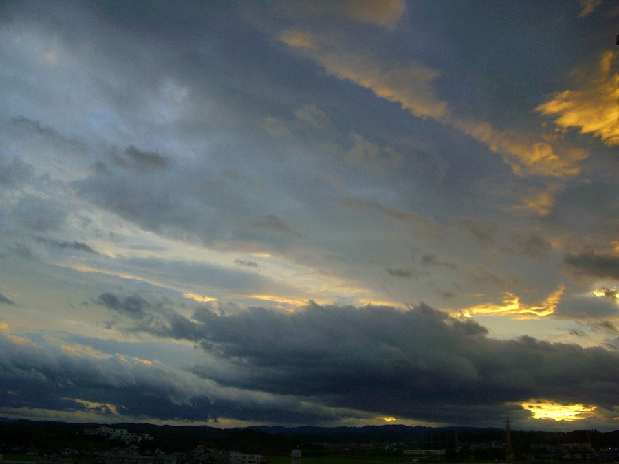 b0029438_12155411.jpg