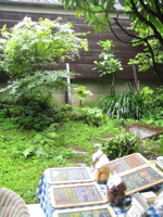 a0068339_8215735.jpg