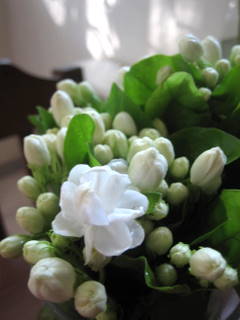 e0018143_3133726.jpg