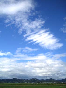 f0062055_9484592.jpg