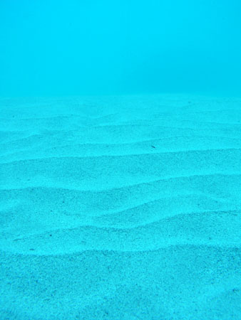 b0062363_21162466.jpg