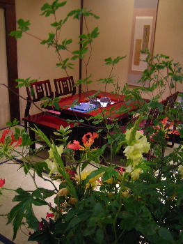 c0070372_2273112.jpg