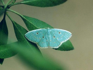 d0019074_96257.jpg