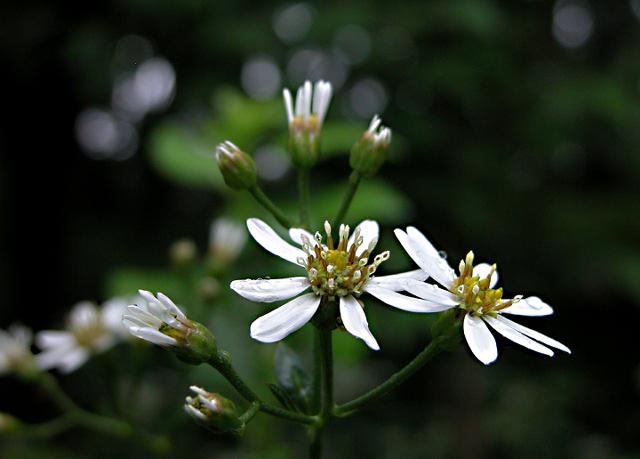 a0044076_21502367.jpg