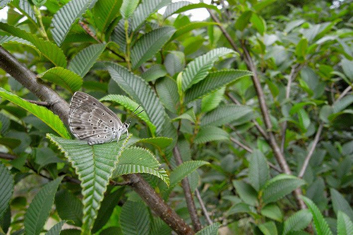 f0090680_22423162.jpg