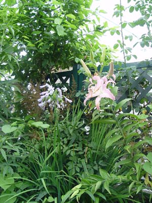 e0008586_0201078.jpg