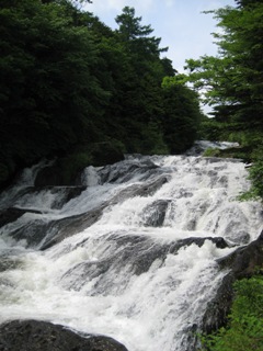 d0110688_12311712.jpg