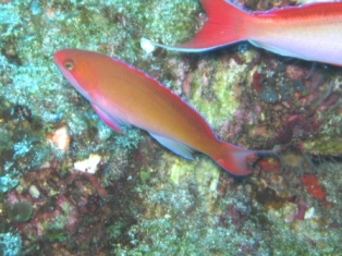 b0088089_23281827.jpg