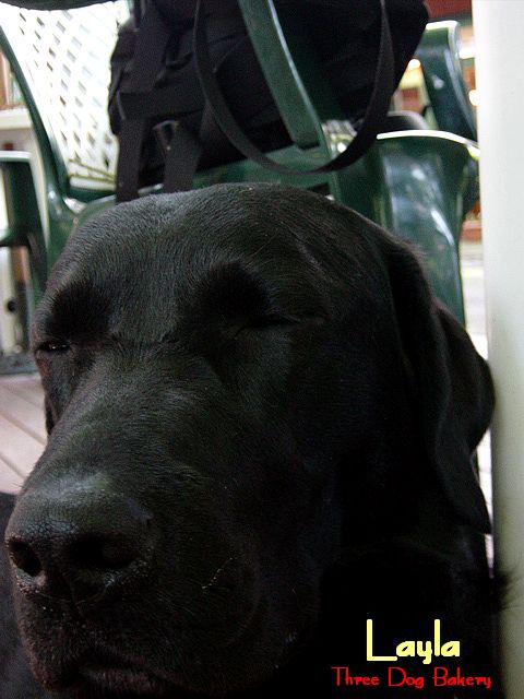 a0093592_1618461.jpg