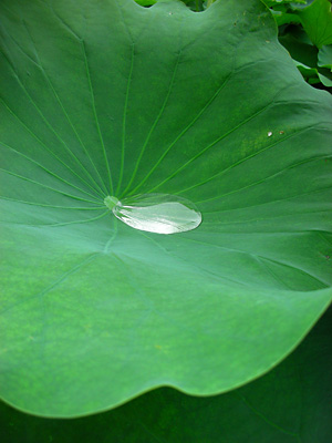 c0060593_2185956.jpg