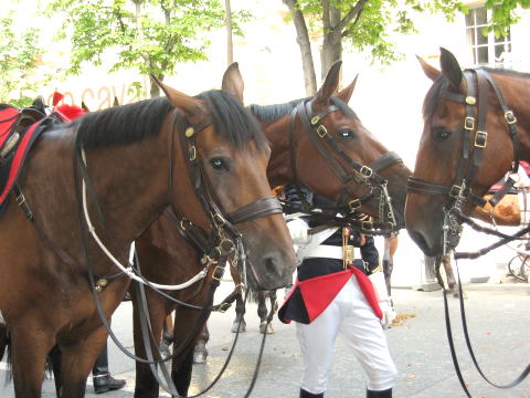 c0090198_2048463.jpg