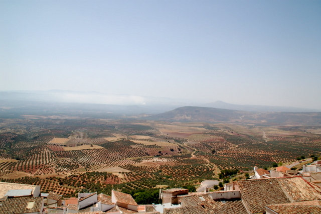 e0061699_6503571.jpg