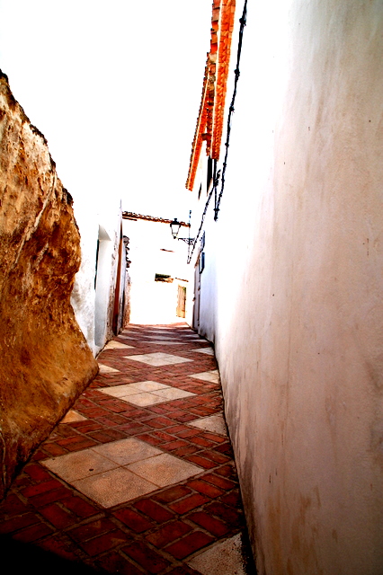 e0061699_6535780.jpg