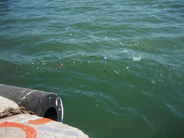 b0064411_7525739.jpg