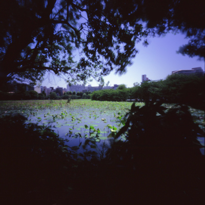 c0016712_04665.jpg