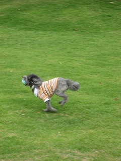 b0032513_023232.jpg