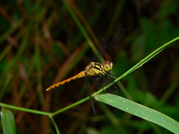 e0002314_22281643.jpg