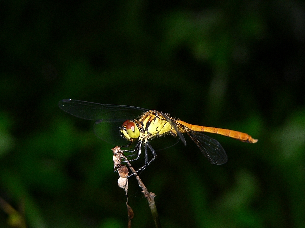 e0002314_2228346.jpg