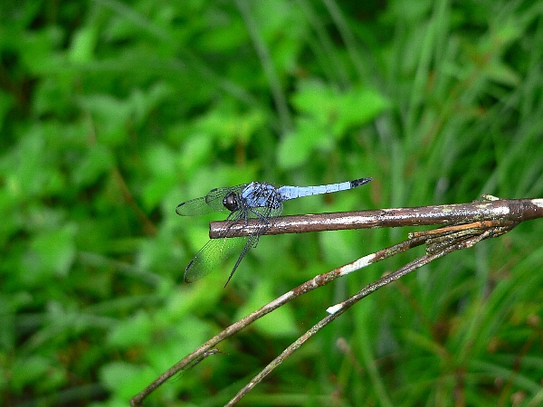 e0002314_22292146.jpg