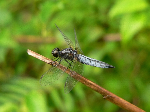 e0002314_22293655.jpg