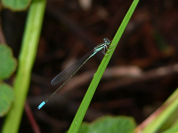 e0002314_2230038.jpg