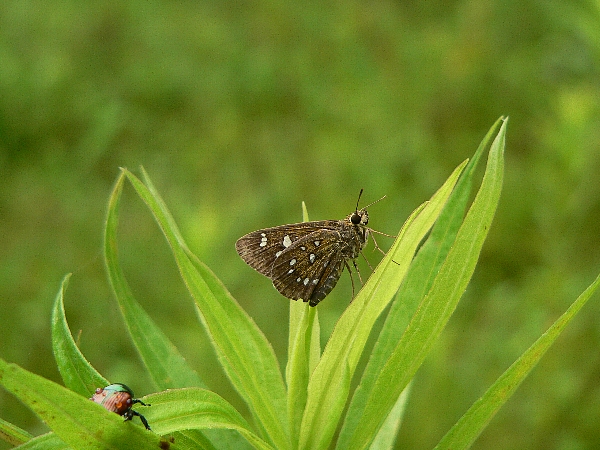 e0002314_22304631.jpg