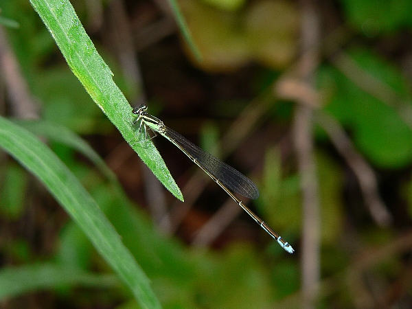 e0002314_223096.jpg